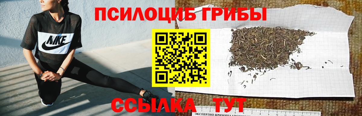 Псилоцибиновые грибы мицелий  Псилоцибиновые грибы мухоморы  Берёзовский  Вход с VPN 